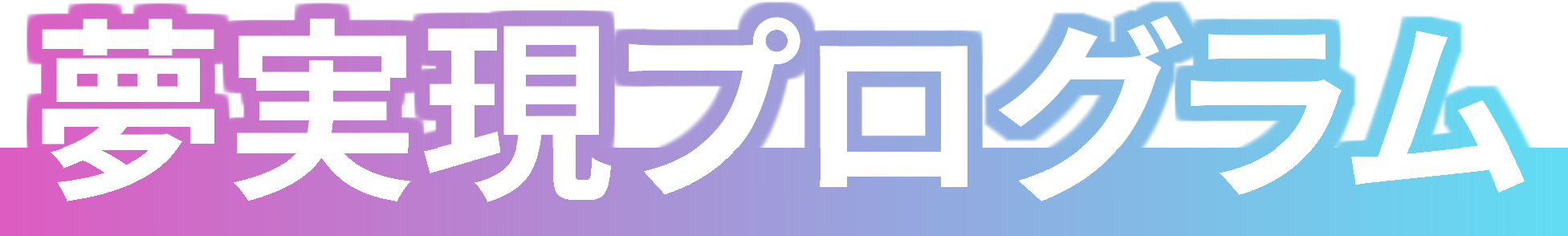 夢実現プログラム